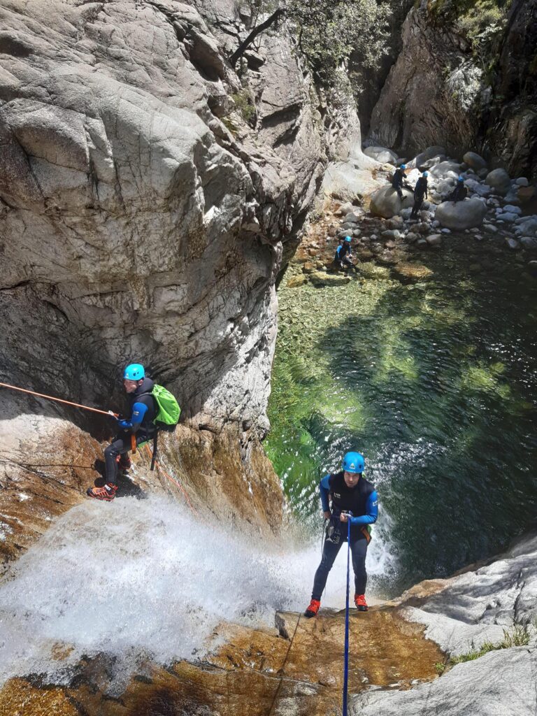 WhatsApp Image 2026-02-05 at 09.35.04